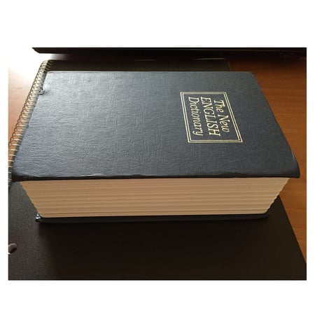 Dictionary Dictionary Diversion Secret 2x Book Safe with Key
