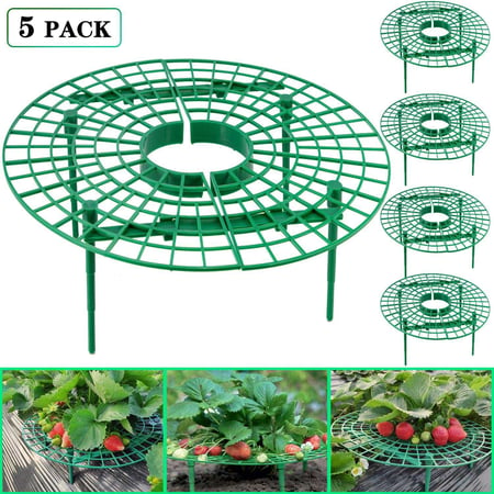 3PCS Strawberry Plant Support Holder Fruit Growing Frame Strawberry Support Planting Rack Removable Lightweight Plant Growing Frame for Climbing Plant Growing Tool Keeping Fruit Avoid Ground Rot Green