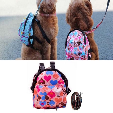 Super Cute Fashion Pet Bag Backpack Travel Carrier For Dog Puppy Cats With Leash 