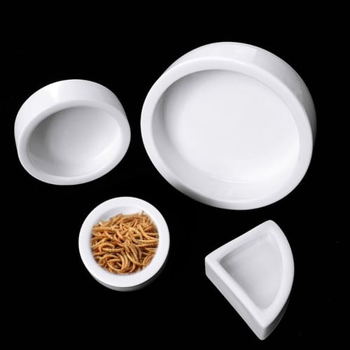 New Reptile Feeder Water Food Glass Bowl Cup Lizard Turtle Cricket Basin Feeding 
