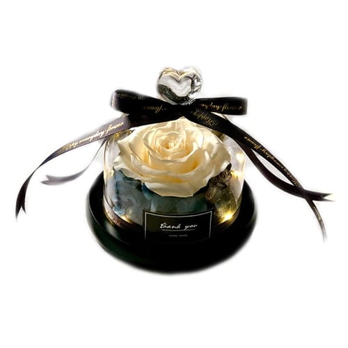 Details about   9 Colors Creative Preserved Dried Rose Flower With Glass Dome Ribbon Bowknot 