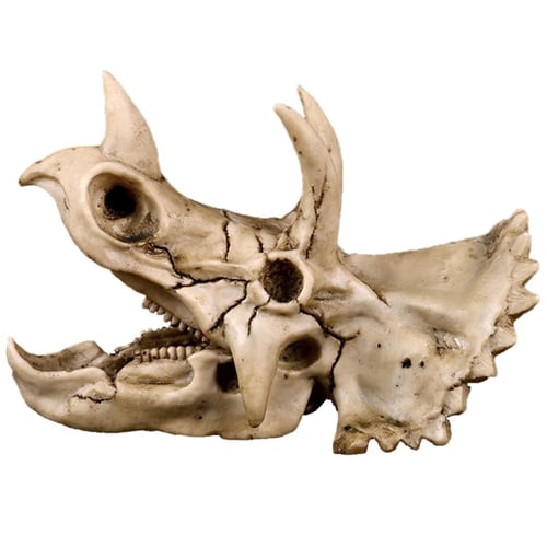 1:1 Saber-Toothed Tiger Resin Replica Skull Head Home Bar Decor Halloween Decora 
