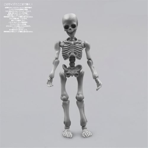 Movable Mr Bones Skull Skeleton Full Body Mini Figure Human Toy Free Shipping 