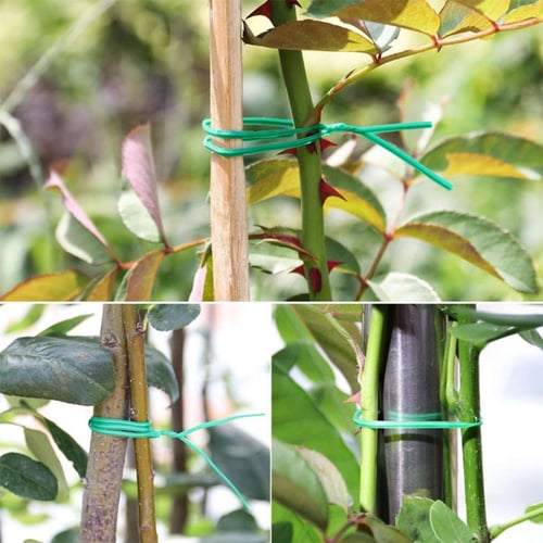Green Coated Garden Plant Ties with Cutter Gardening Use 50m Twist Ties 164ft 