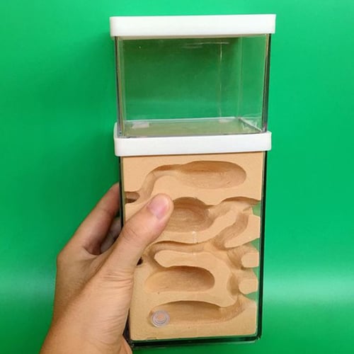 1 Set Insekt Ant Nest Höhle Transparent Ant Anhebung Box für Home Shop Ameisen 