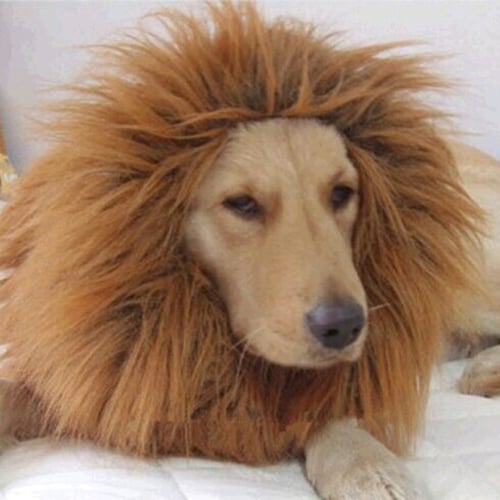Pet Costume Lion Mane Wig for Dog Halloween Clothes Festival Fancy Dress up 