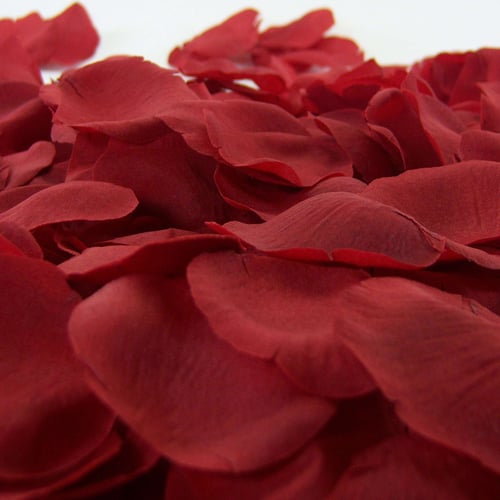 Red Silk Rose Petals ~ 200 Petals U9Q7 