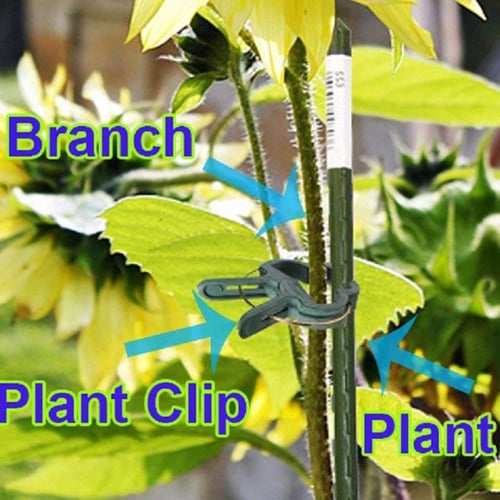 20 x Garden Plant Flower Lever Loop Gripper Clips Support Straighten Stems Vine 