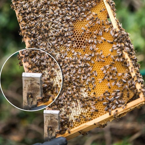 Frame Lifter Beekeeping Honey Scraper 2pk Stainless Steel J Hook Bee Hive Tool 