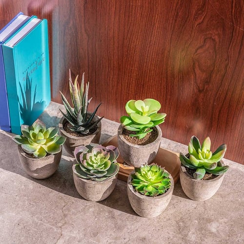 14.5cm Artificial Cactus Simulated Succulent Plants Home Office Party Decoration 