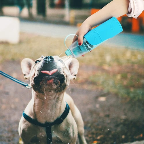 3-in-1 Pet Water Dispenser with Removable Portable Travel Dog Bowl Cooling Mist Spray Outdoor Hiking for Human & Dogs Dog Travel Water Bottle for Walking