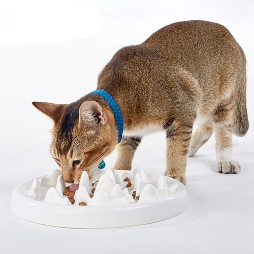 Ceramic Fun Interactive Feeder Bloat Stop Cat Bowl Preventing Feeder Anti Gulping Healthy Eating Diet Slow Feeder Cat Bowl 
