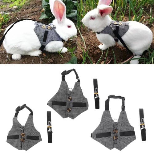 Small Animal Harness Guinea Pig Forret Hamster Rabbit Squirrel Vest Clothes Lead 