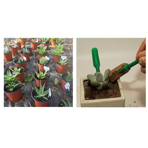 NEW 7pcs Succulent Transplanting Miniature Fairy Garden Planting Hand Tools Set