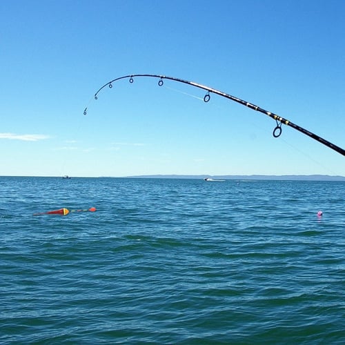 10pcs Carp Fishing Floats Set Buoy Bobber Stick For Fish Tackle Vertical 2# 4.5g