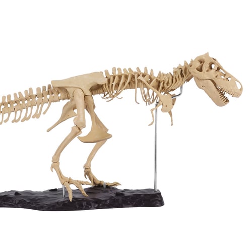 Tyrannosaurus Skeleton Dinosaur T Rex Animal Model Toy Collector Super Decor NEW 