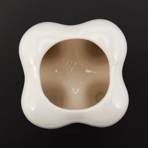 Tooth Shaped White Ceramic Flower Pot Home Garden Planter Teeth Desktop Decor 