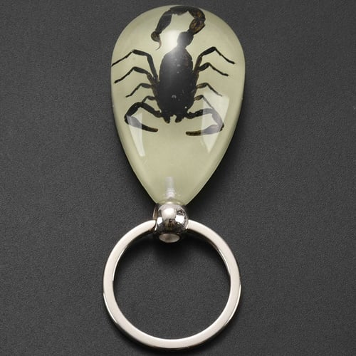 Natural Glow-in-the-Dark Real Insect Keychain Beetle Animal Specimens Collecting 