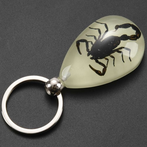 Natural Glow-in-the-Dark Real Insect Keychain Beetle Animal Specimens Collecting 