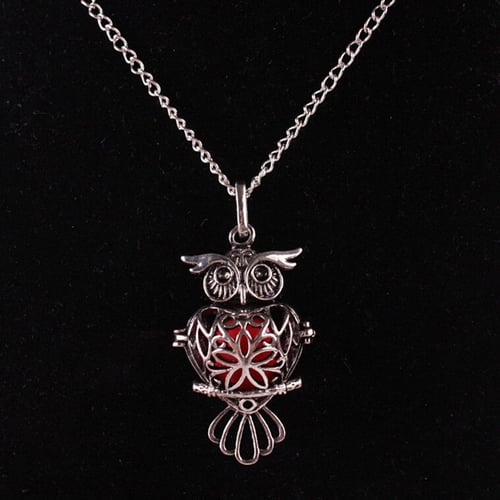 set Owl Looking Glass Necklace with Earrings