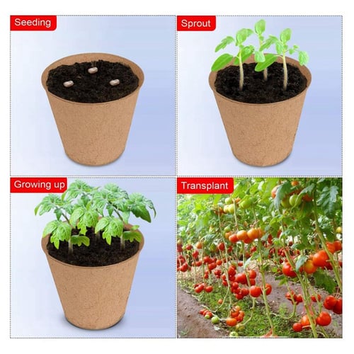 102 Pack Seed Starter Peat Pots Kit 100% Eco-Friendly Organic Germination 