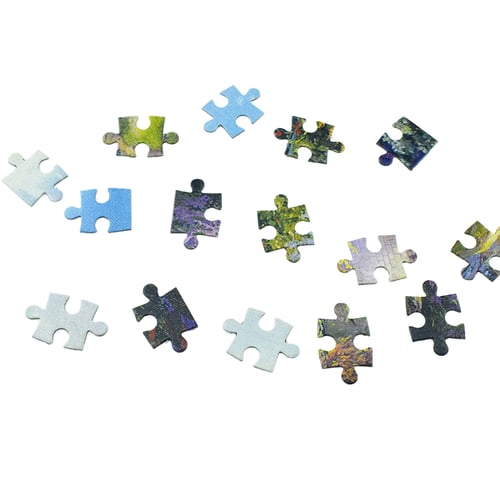 1000 Pieces Adult Kids Puzzles Educational Toy DIY Decor Jigsaw Puzzle 