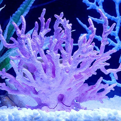 Blue Danmu 1pc Plastic Vivid Artificial Coral Plant Ornament for Fish Tank Aquarium Decoration