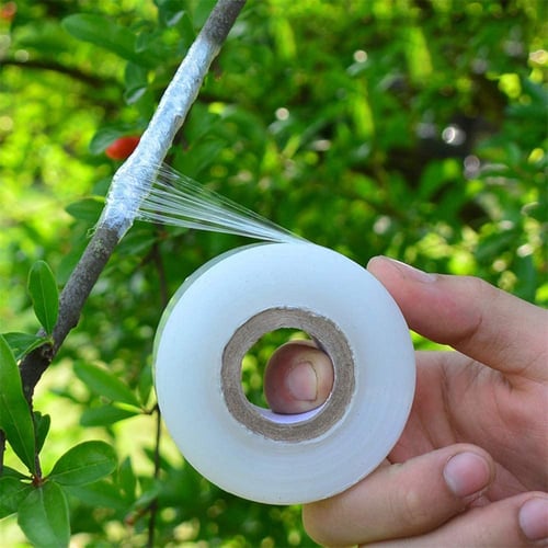 100m Grafting Tape Stretchable Self-adhesive Film Floristry Tree Gardening Belt 