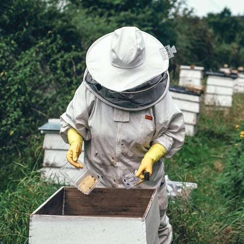 5pcs Plastic Queen Cage Clip Bee Catcher Beekeepers Beekeeping Tools EquipmenYB 