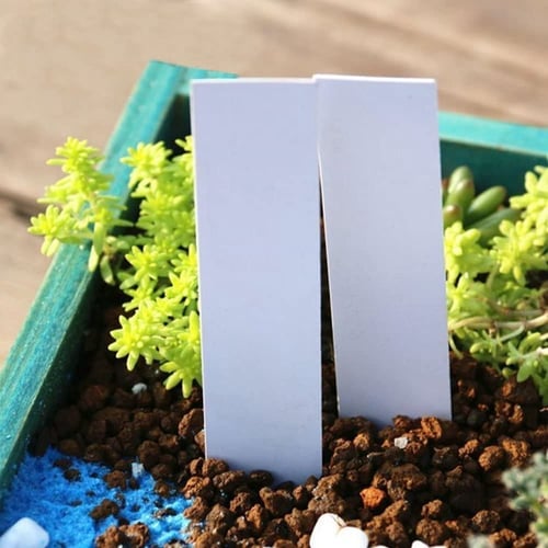 100pcs Plastic Plant Labels Pot Marker Nursery Garden Stake Tags 10cmx2cm 