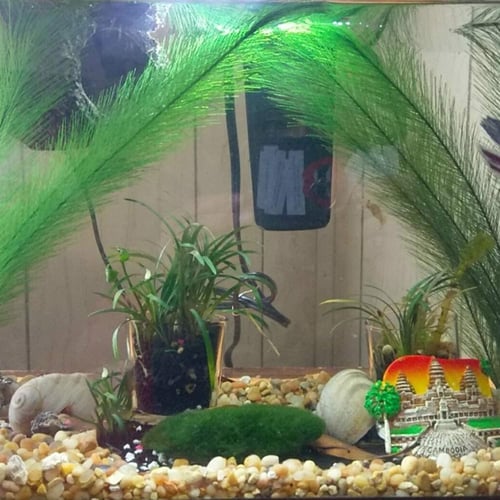 11-inch Aquarium Decor Fish Tank Ornament Artificial Plastic Plant Green/Purple 