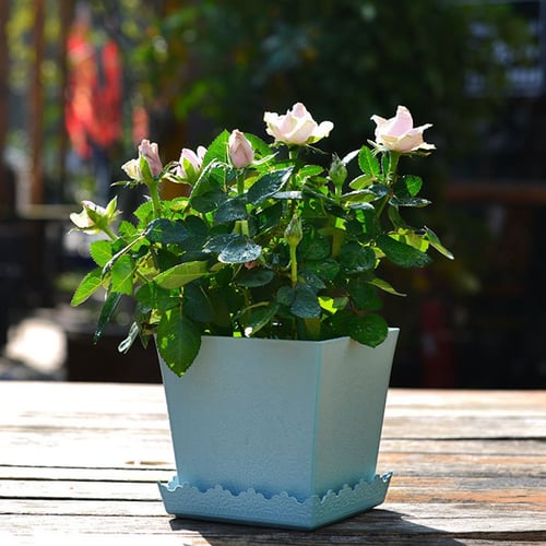 1pc Mini Pots Fleshy Flower Pot Ceramic Flower Pot for Home Garden Office 