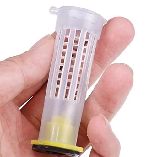 20Pcs/Set Bee Queen Cell Cover Beekeeping Tool Beekeeper Plastic Cage Pro J 