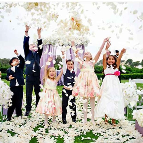 1000pcs ivory silk rose petals wedding party decoration 