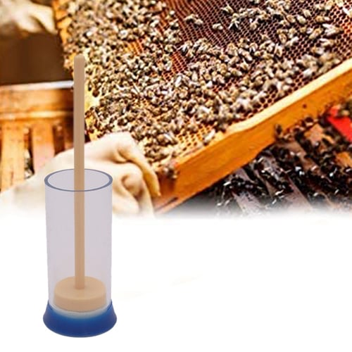 Queen Bee Marker Marking Cage Bottle & Soft Plunger Beekeeping Beekeeper Equip Queen Bee Marker Marking Cage Bottle & Soft Plunger Beekeeping Beekeeper Equip