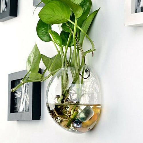 Wall Hanging Plant Ball Terrarium Glass Planter for Home Decor 4'' Diameter 