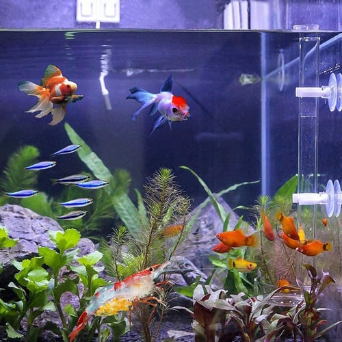 Integrated Shrimp Aquarium Fish Tank Feeding Tube & Dish Feeder 