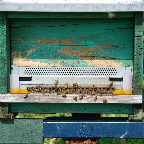 Honey Bee Beehive Entrance Hive Drinking Beekeeping Equipment Water Feeder Tool 