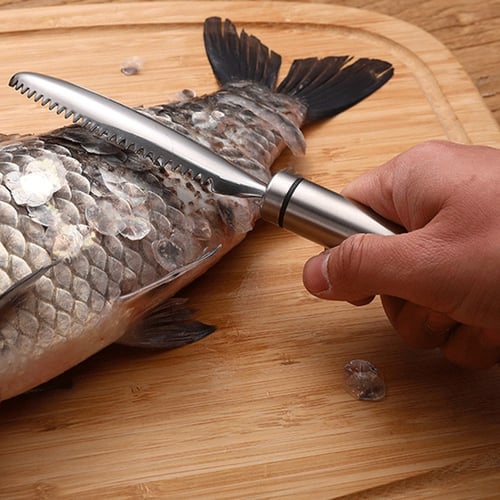 Details about   Stainless Fish scales Scraping Graters Fish Cleaning Peeler Fish Bone Tweezer 