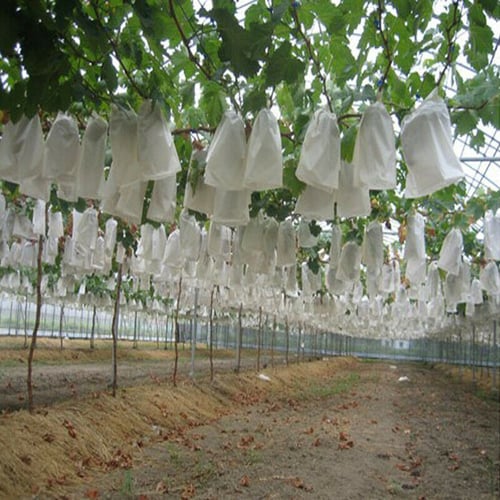 100PCS Garden Plant Fruit cover Protect Net Mesh Bag Against Insect Bird Pest 