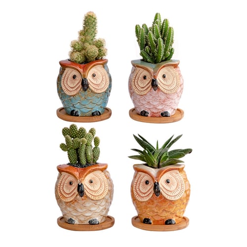 Plant Pots Owl 6 Pot Set Indoor Flower Ceramic Mini Herb Cactus Decor 2.5 Inch 