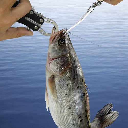 Outdoor Portable Fishing Lock Fishing Lure Tackle Fish Lip Gripper Grabber Tool