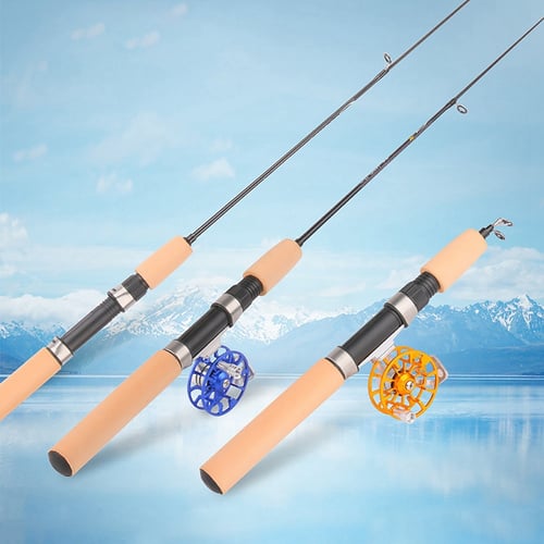 60CM Portable Pocket Winter Ice Fishing Fish Rod Mini Tackle Spinning Casting 