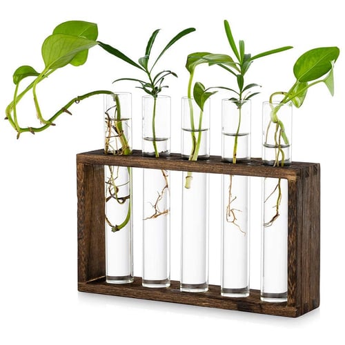 Wall Hanging Clear Glass Flower Vase Plant Hydroponic Pot 5 Glass Tubes 