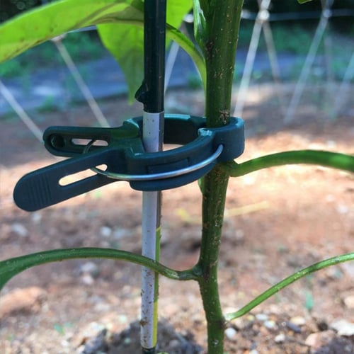 50pcs Plant Support Clips Clamps Garden Tomato Vine Greenhouse Vegetables Tie 