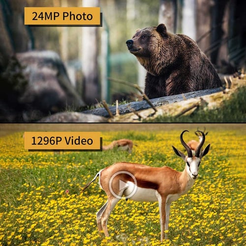 12MP Trail Camera Deer Bear Hunt Game Cam Low Glow Night Vision Motion Activated 