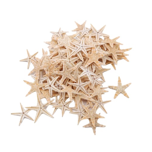 100pcs Natural Starfish Seas Beach Craft Sea Stars Diy Wedding Decoration Crafts Home Decor 1 5cm