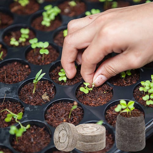 Compressed Block Gardening Tool Seed Peat Pellets Nutritional Soil Nursery Pot 
