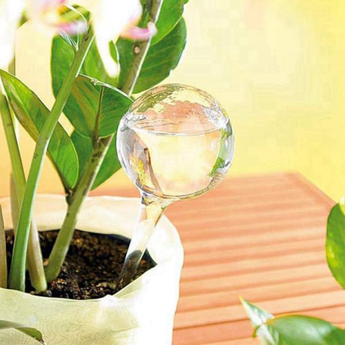 Automatic Watering Device Plant Pot Bulbs Garden Waterer Flower Water Drip 5 Pcs 