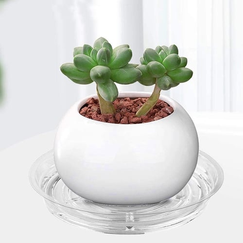 Plastic Plant Pot Succulent Tray Nusery Saucer Seed Water Drip Planter Holder 